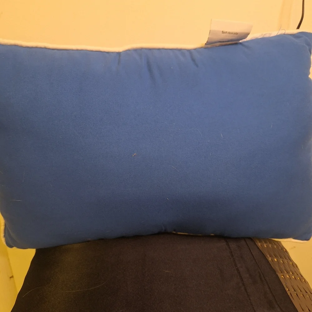 Two Tourquoise Pillow with 3 Circles W/ Embroidery